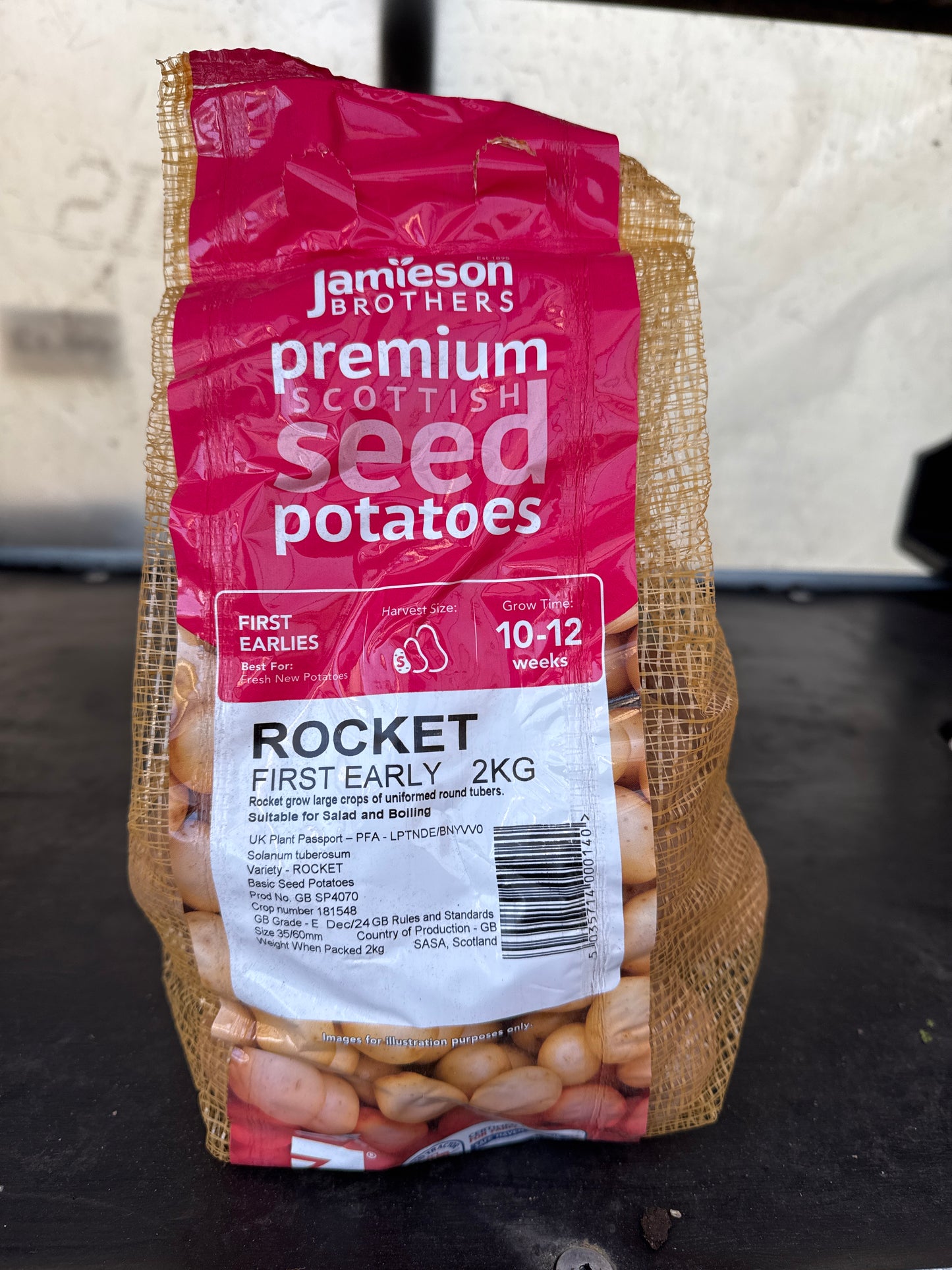 Rocket - Seed Potatoes - First Early - 2Kg