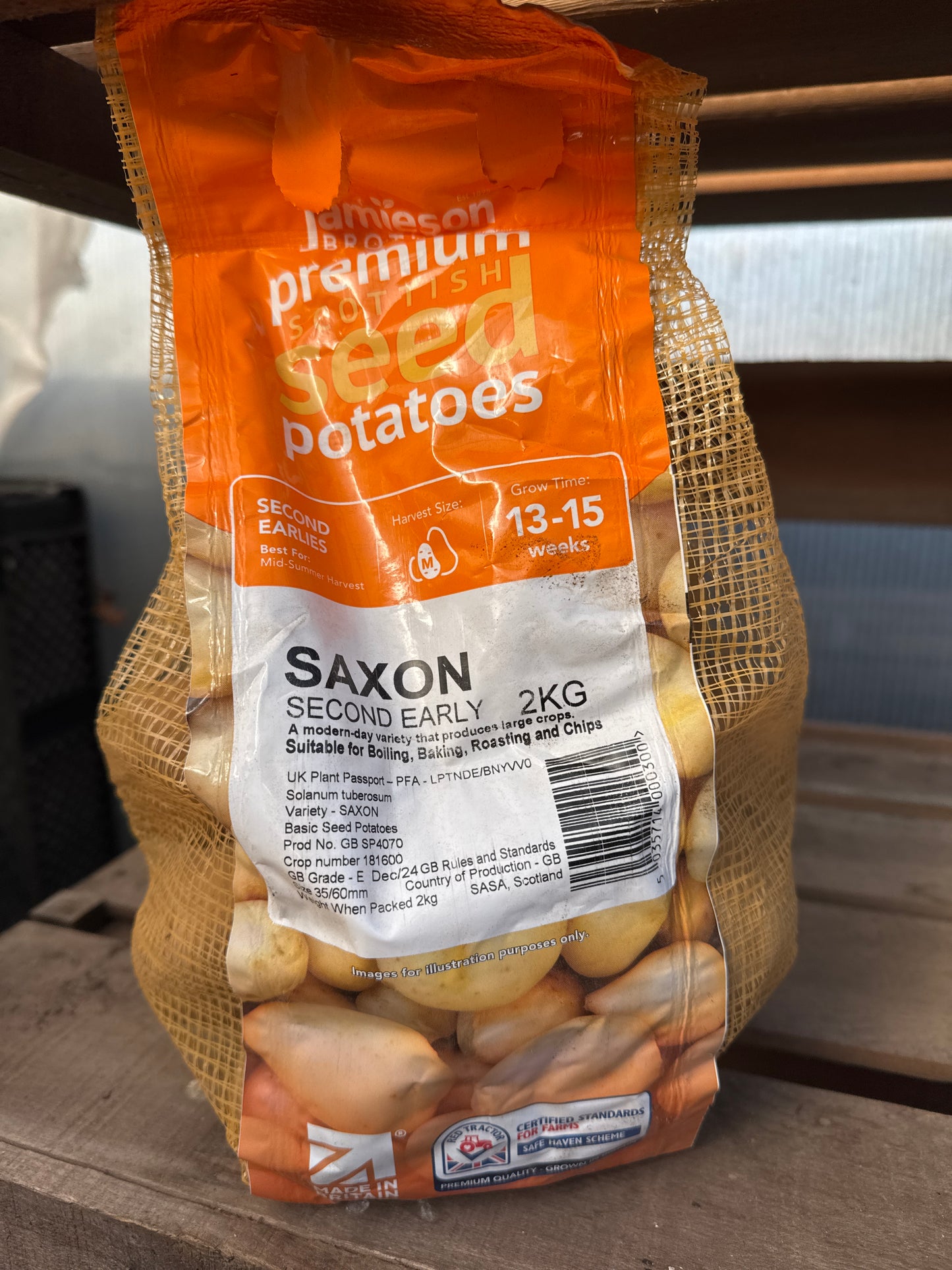 Saxon - Seed Potatoes - Second Early - 2Kg