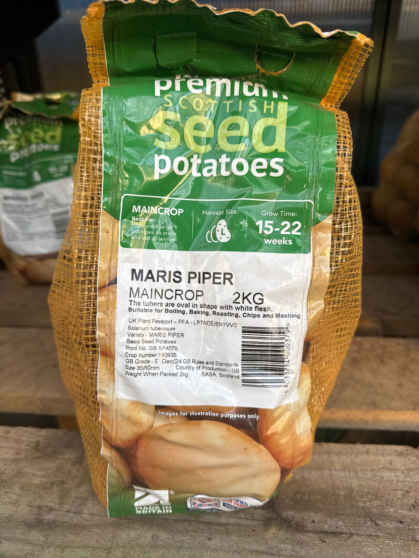 Maris Piper - Seed Potatoes - Maincrop - 2Kg