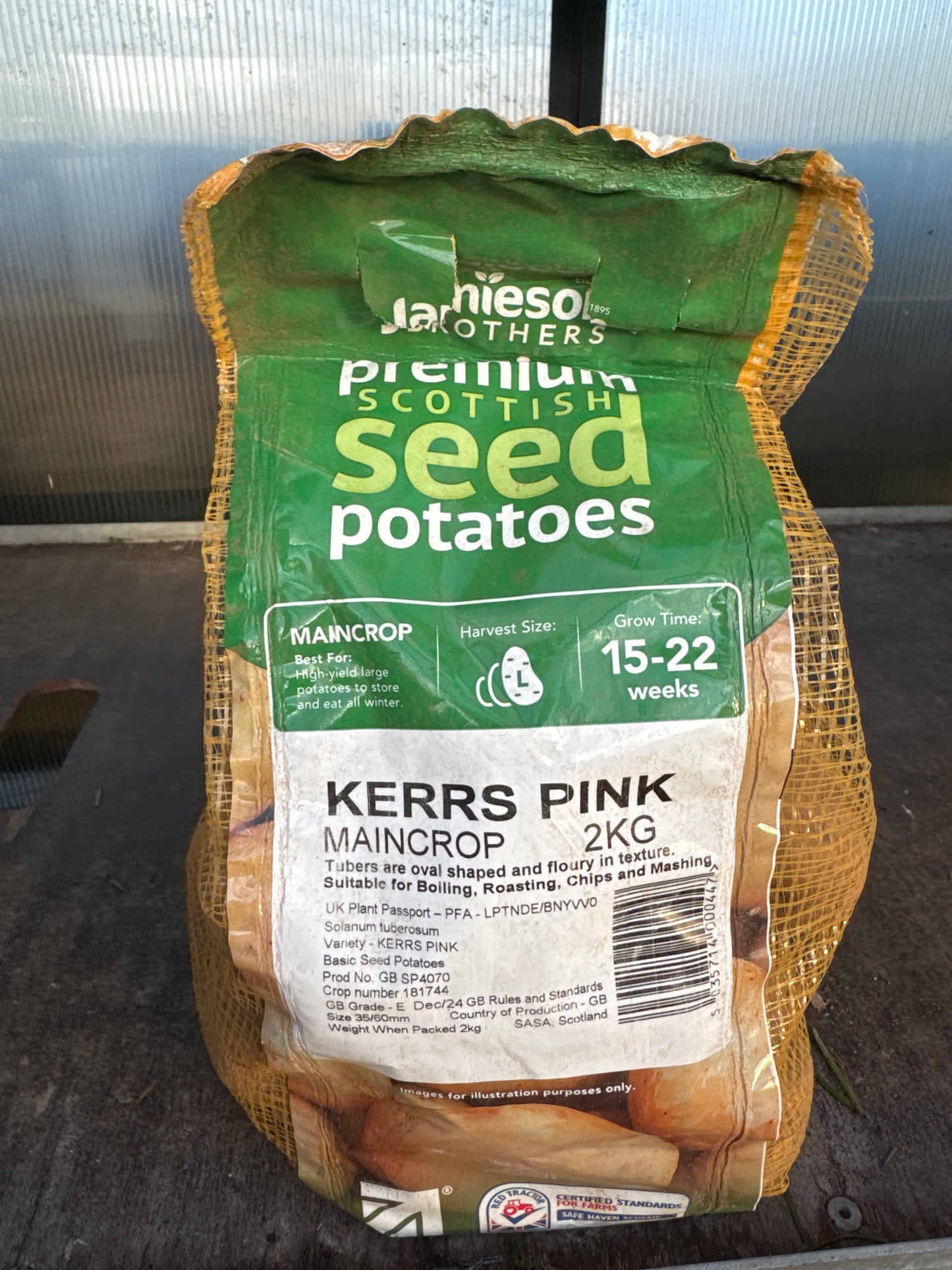 Kerrs Pink - Seed Potatoes - Main Crop - 2Kg