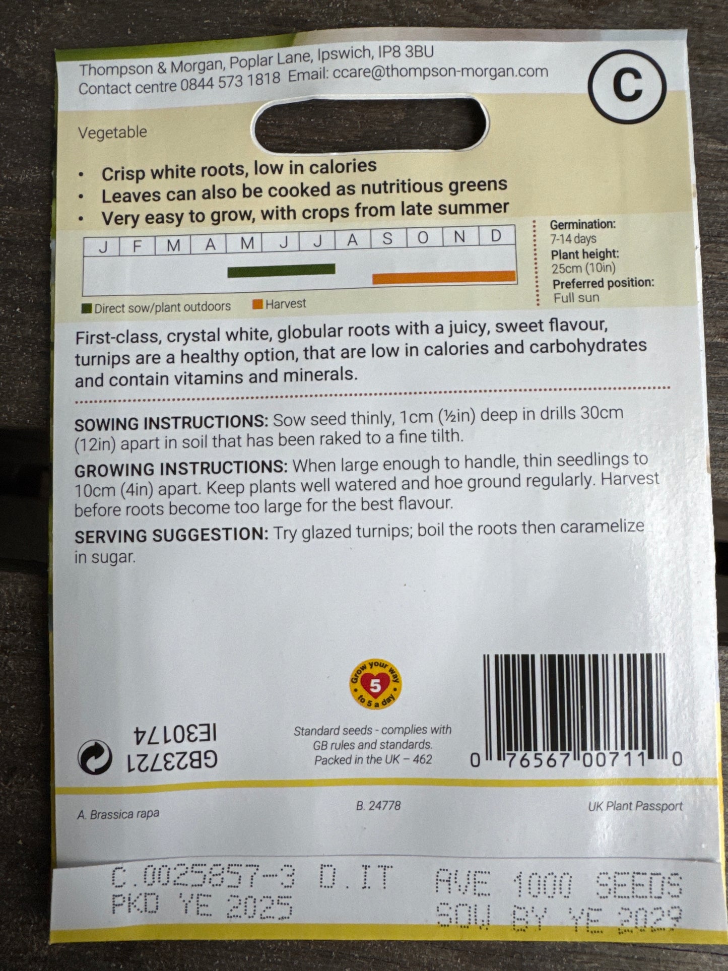 SEEDS - Turnip Snowball