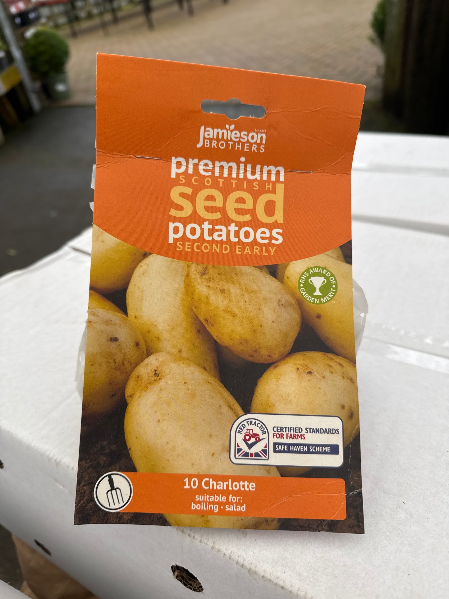 Charlotte 10pk Second Early - Seed Potatoes