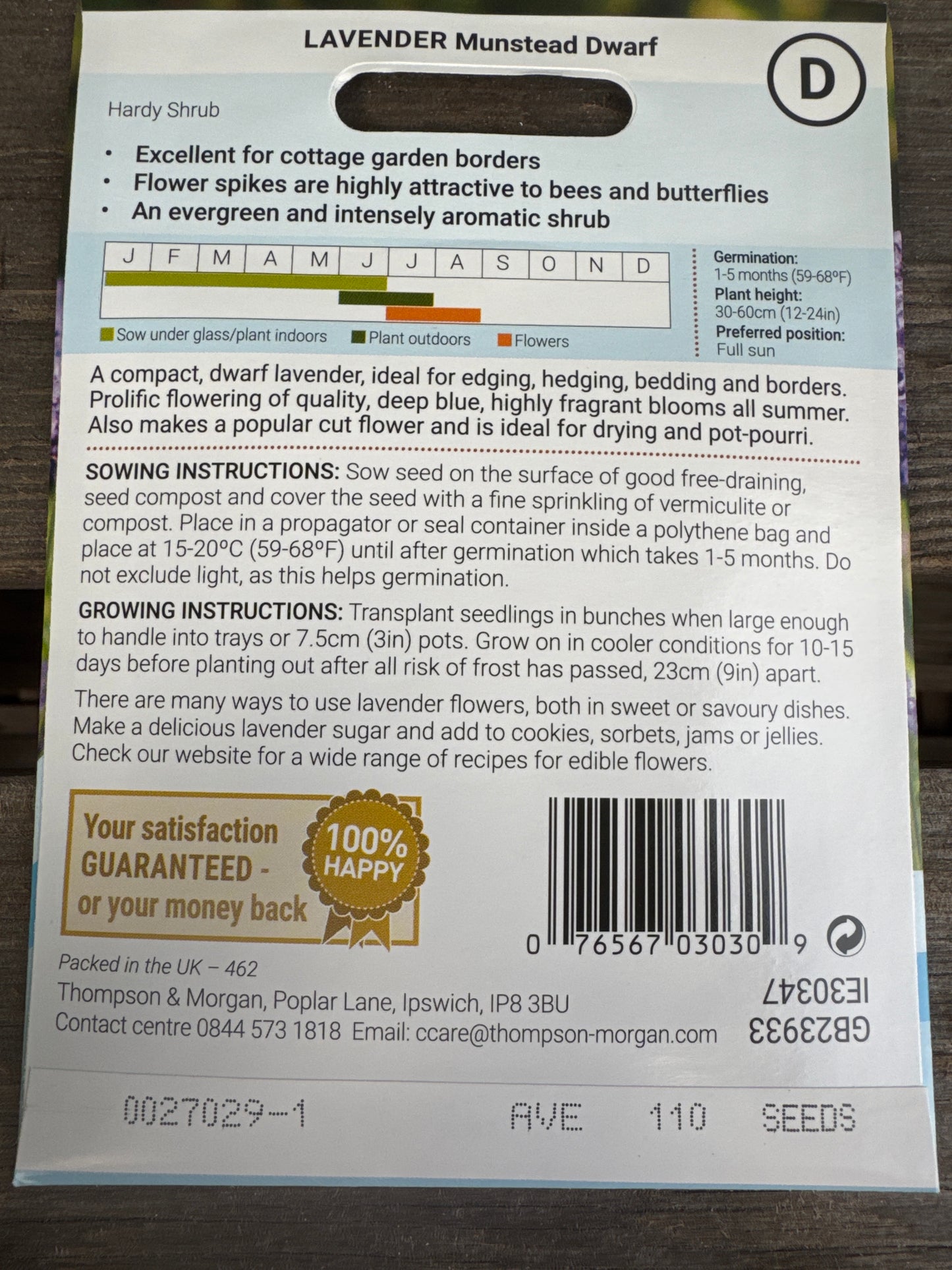 SEEDS - Lavender Munstead Dwarf