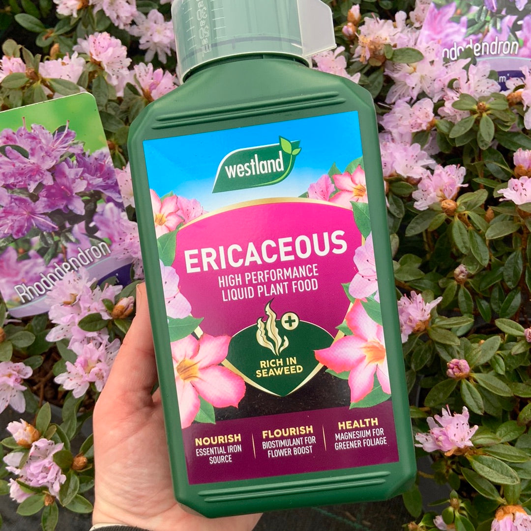 Ericaceous Plant Food 1L Bottle Conc