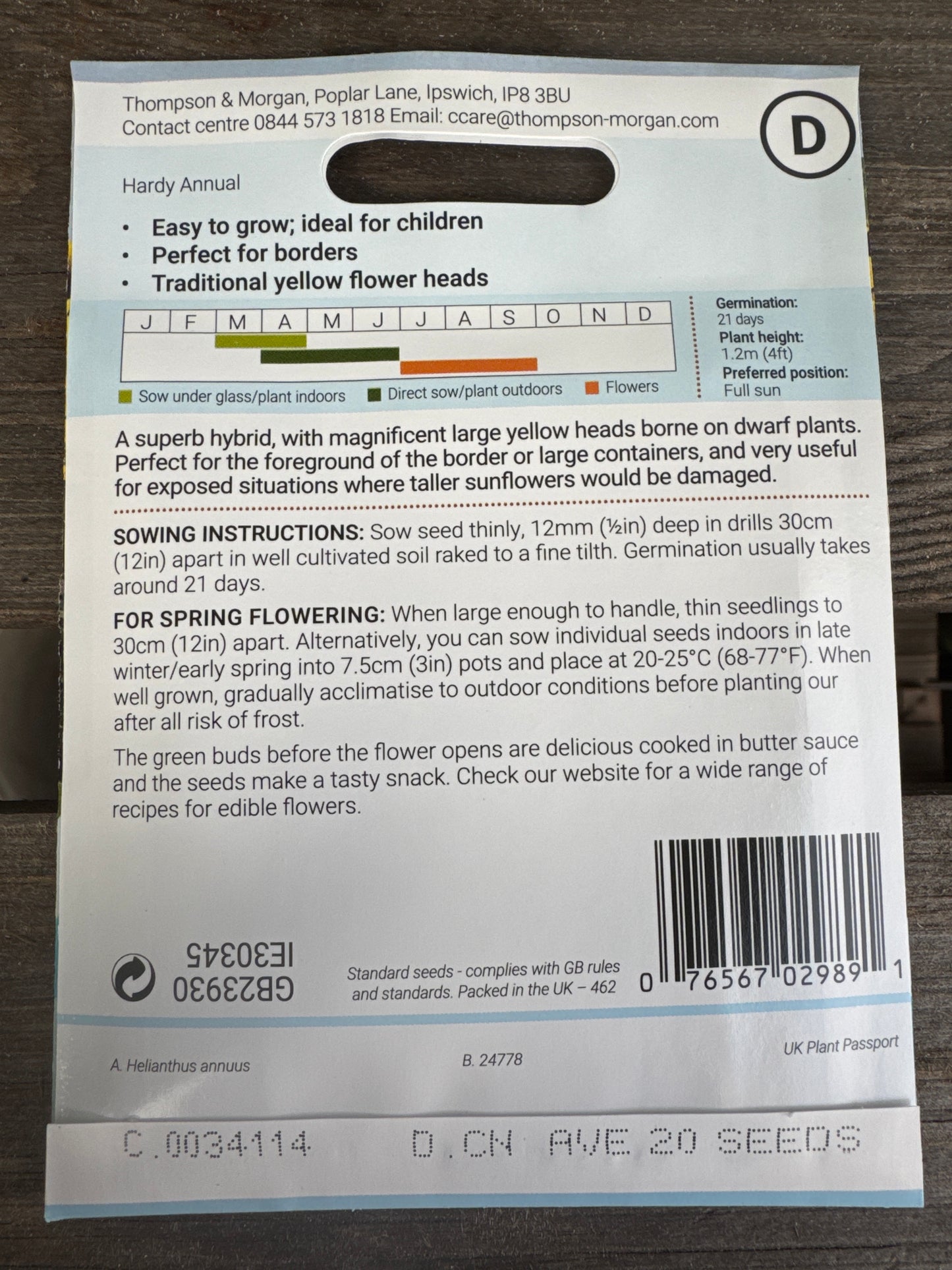 SEEDS - Sunflower Elite Sun F1 Hybrid