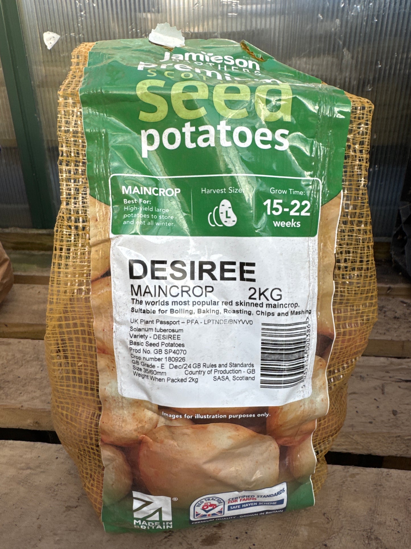 Desiree - Seed Potatoes - Maincrop - 2Kg