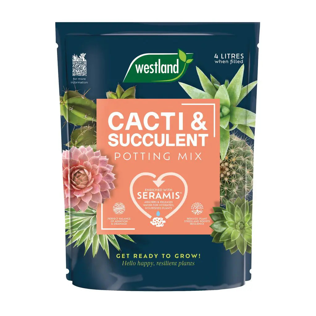 Cacti & Succulent Potting Mix 4L (£1.25/L)