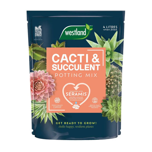 Cacti & Succulent Potting Mix 4L (£1.25/L)