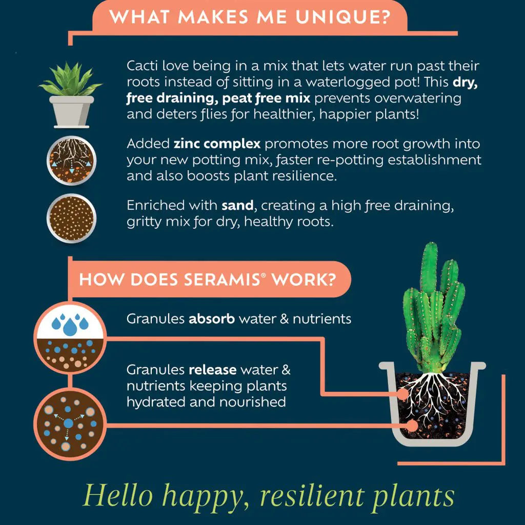 Cacti & Succulent Potting Mix 4L (£1.25/L)