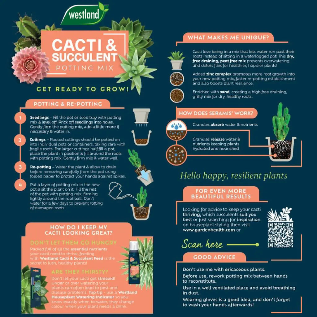Cacti & Succulent Potting Mix 4L (£1.25/L)