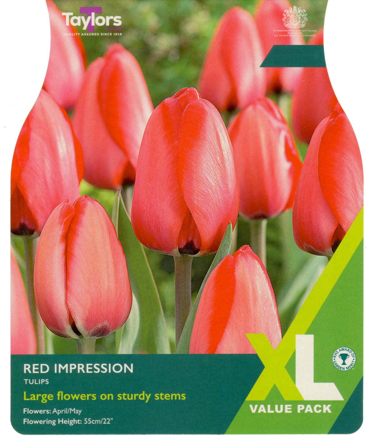 Tulip Red Impression XL (12 bulbs) *Bulb of the Year 2026*