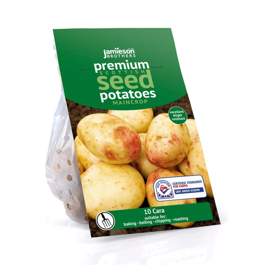 Cara 10pk Main Crop - Seed Potatoes