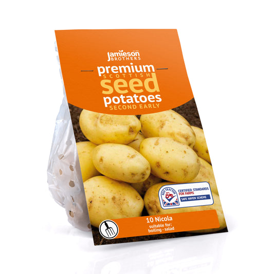 Nicola 10pk Second Early - Seed Potatoes