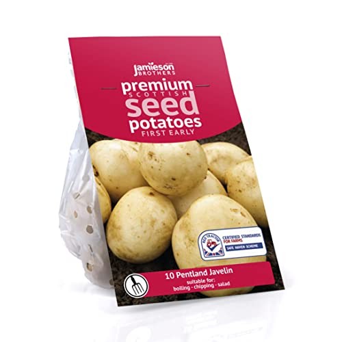 Pentland Javelin 10pk First Early - Seed Potatoes