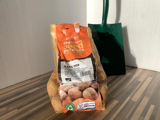 Maris Peer- Seed Potatoes - Second Early - 2Kg