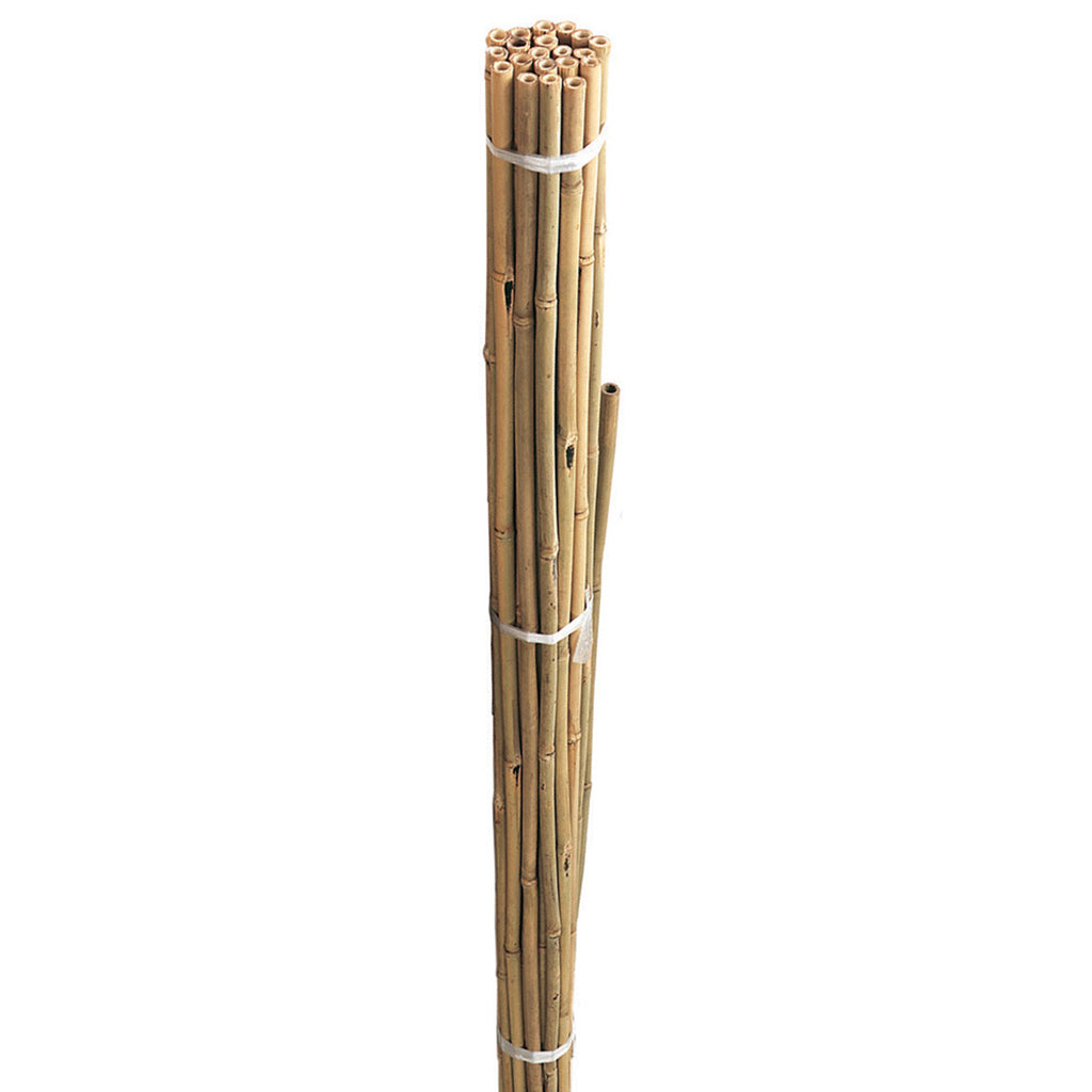 Bamboo Canes - 8ft / 240cm (bundle of 10)