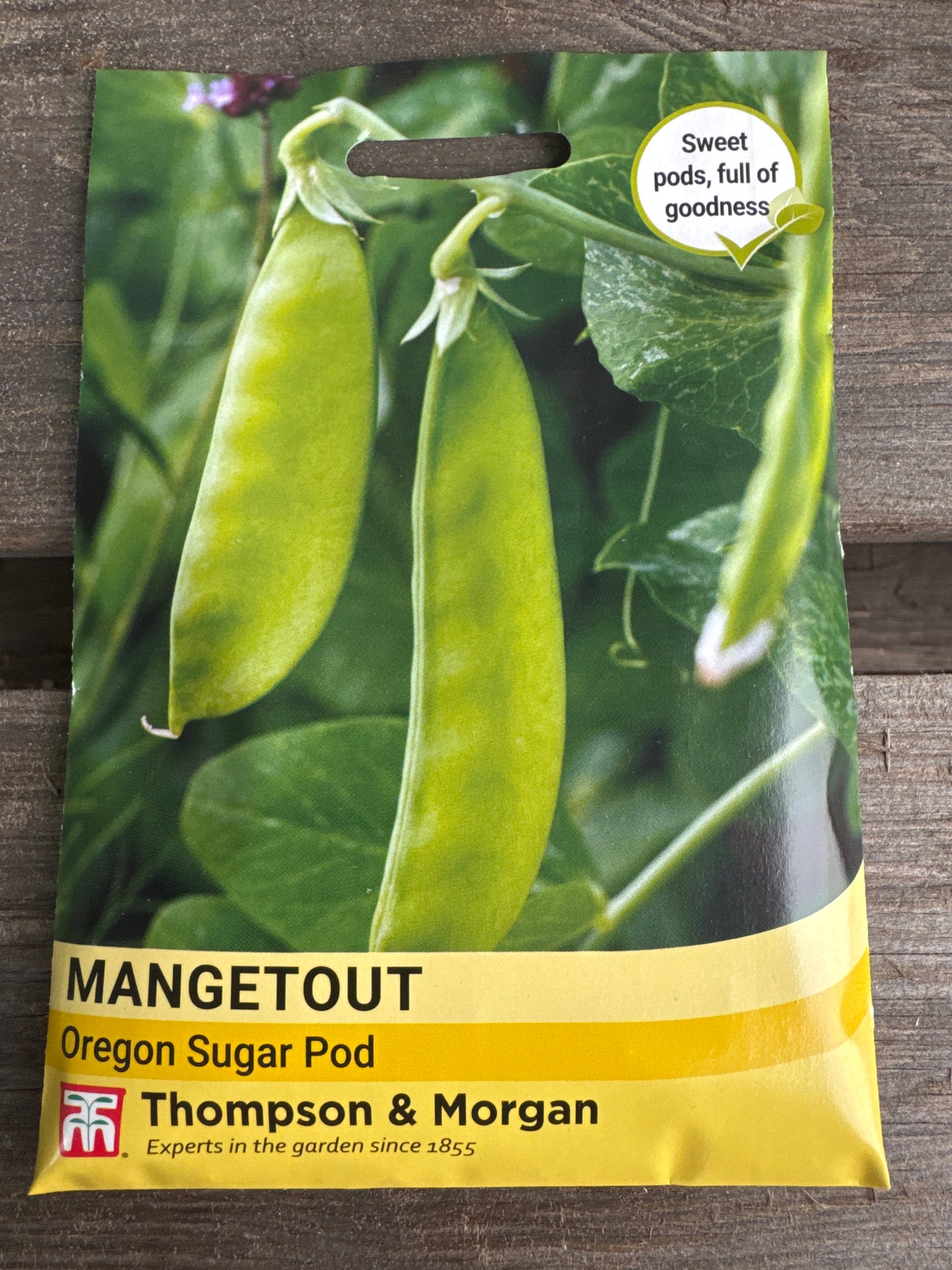 SEEDS - Mangetout Oregon Sugar Pod
