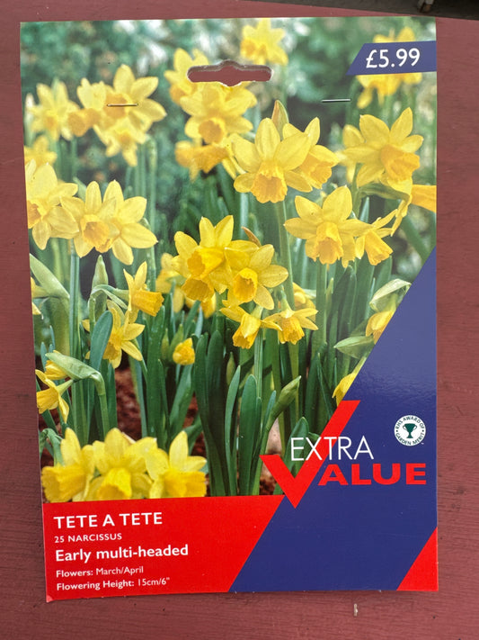 Daffodils Narcissus Tete a Tete (25 bulbs)