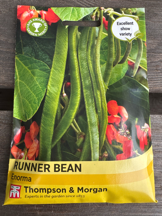 SEEDS - Runner Bean Enorma