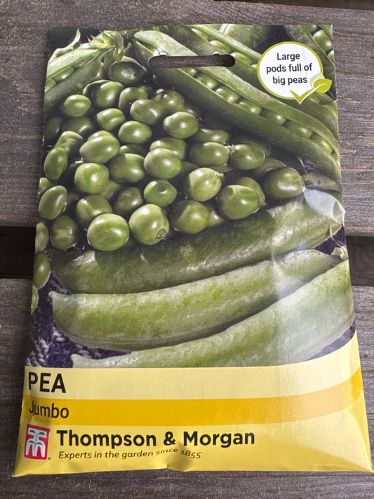 SEEDS - Pea Jumbo