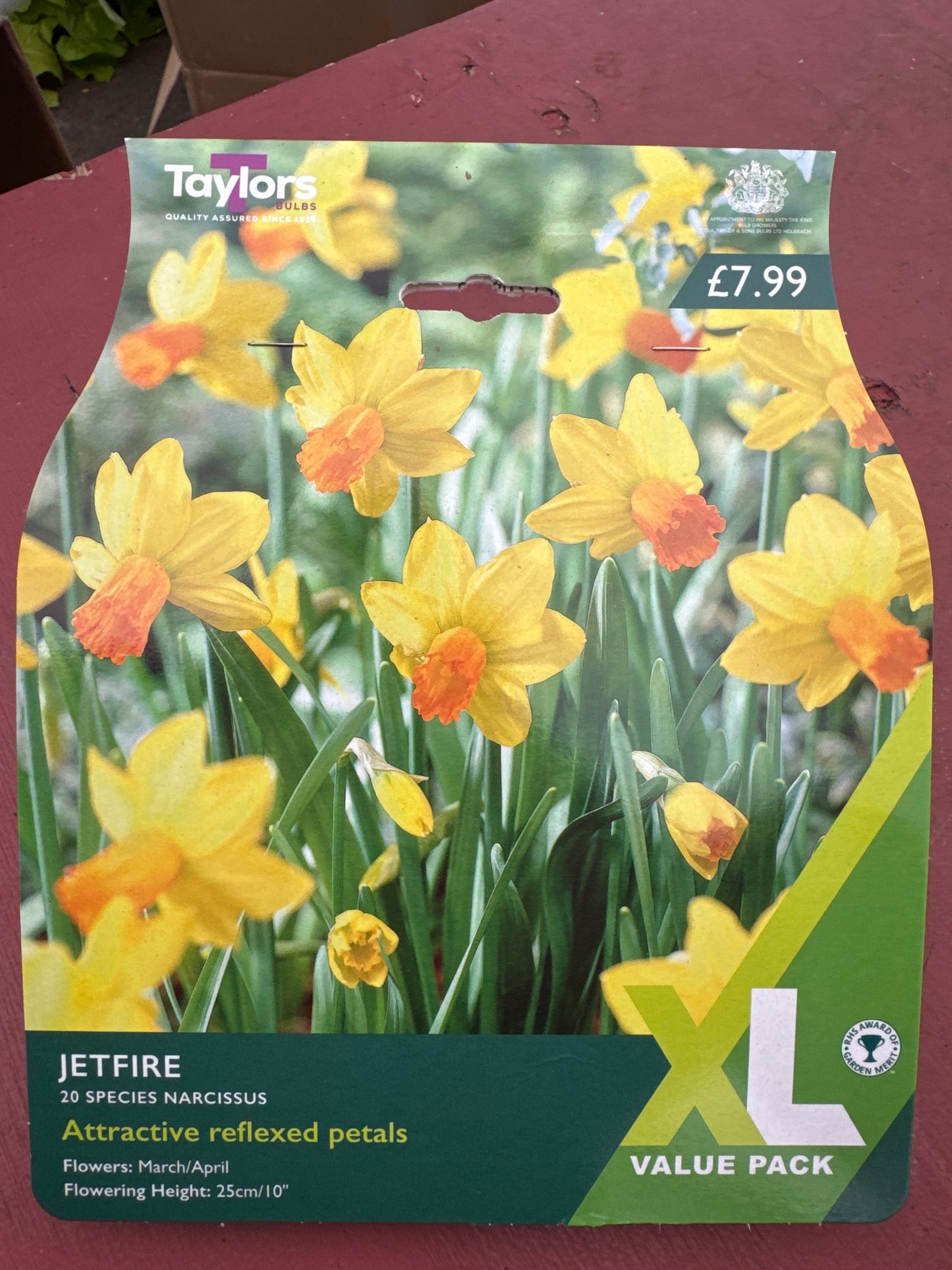 Daffodils Narcissus Species Jetfire (20 bulbs)