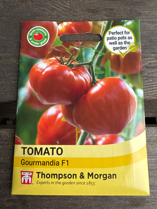 SEEDS - Tomato Gourmandia F1