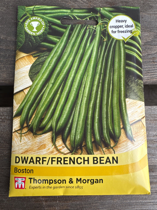 SEEDS - Dwarf French Bean Boston