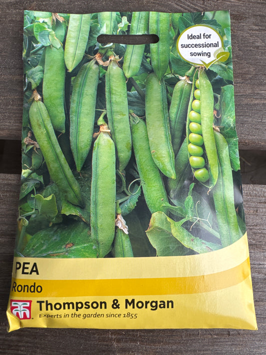 SEEDS - Pea Rondo