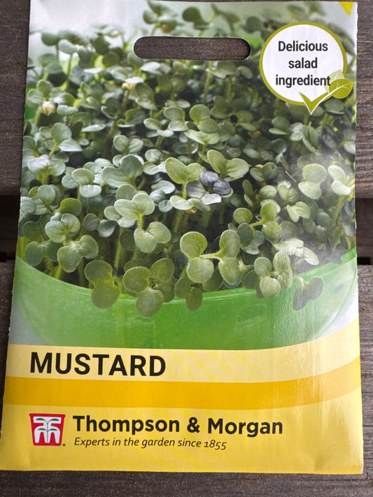 SEEDS - Mustard