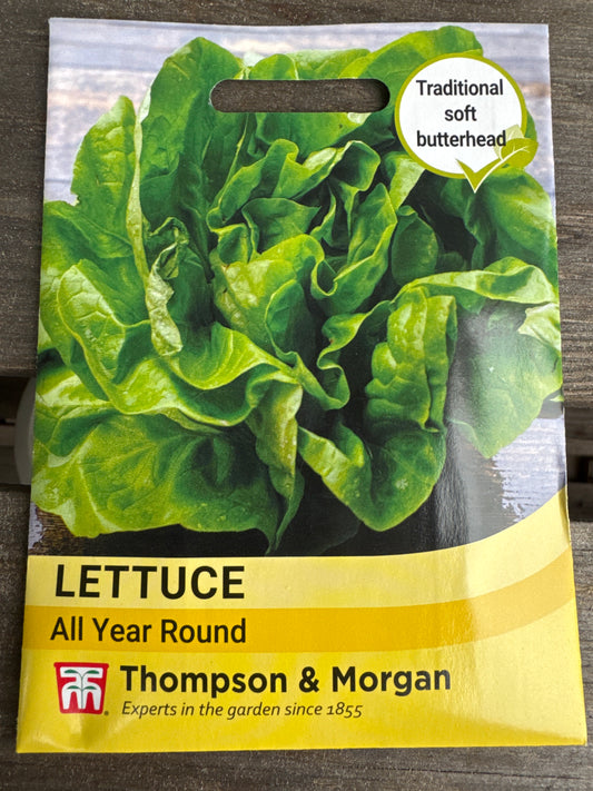 SEEDS - Lettuce All Year Round