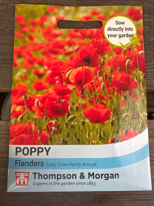 SEEDS - Poppy Flanders