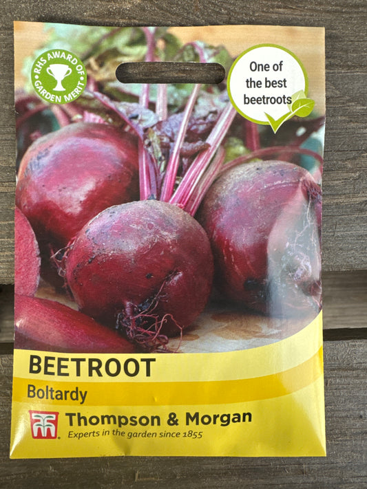 SEEDS - Beetroot Boltardy