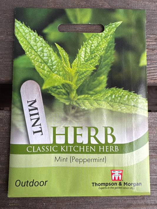 SEEDS - Herb Mint