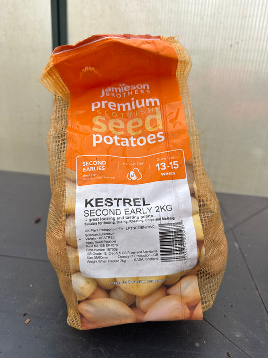 Kestrel - Seed Potatoes - Second Early - 2Kg