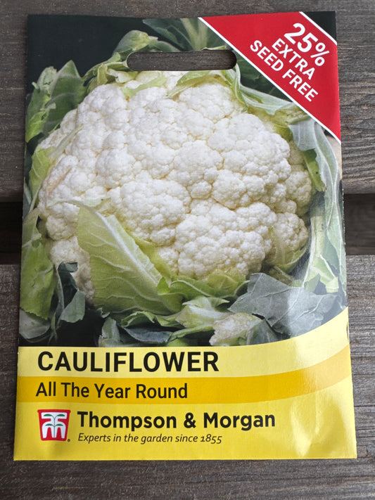SEEDS - Cauliflower All The Year Round