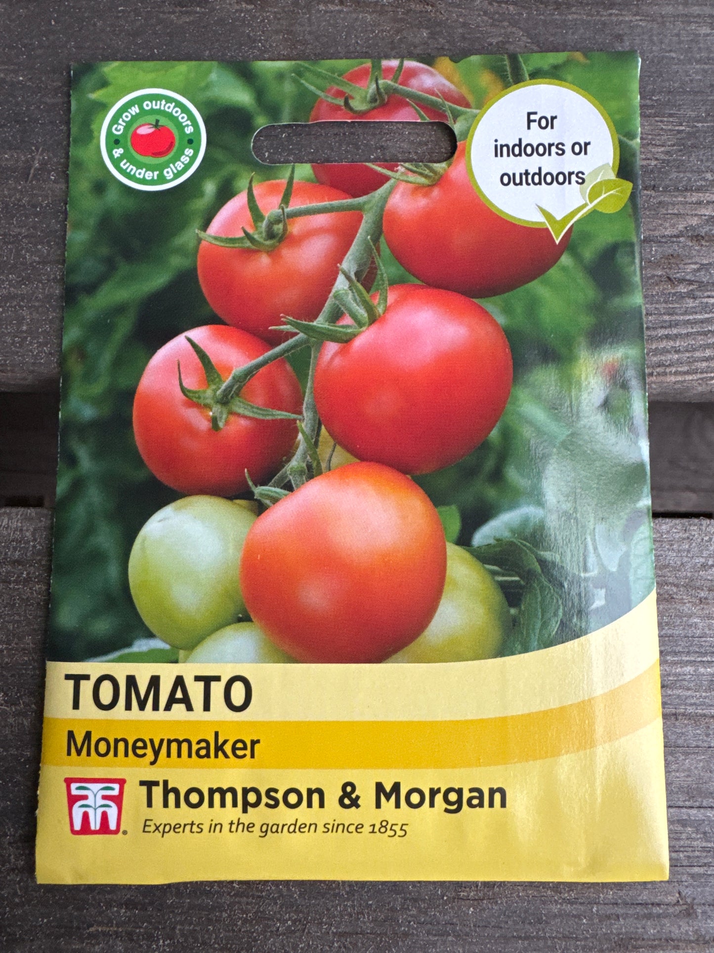 SEEDS - Tomato Moneymaker