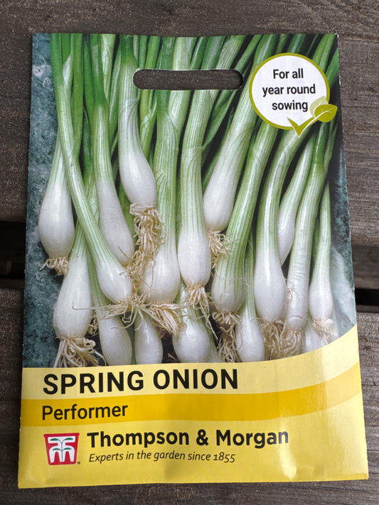 SEEDS - Spring Onion Performer