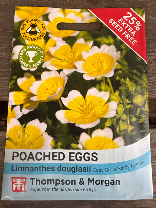 SEEDS - Poached Eggs Limnanthes douglasii