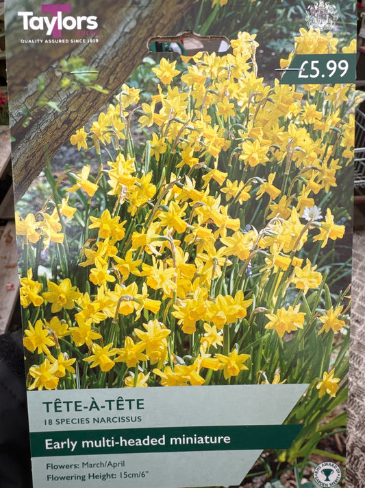 Daffodils Narcissus Tete-a-Tete (18 bulbs)