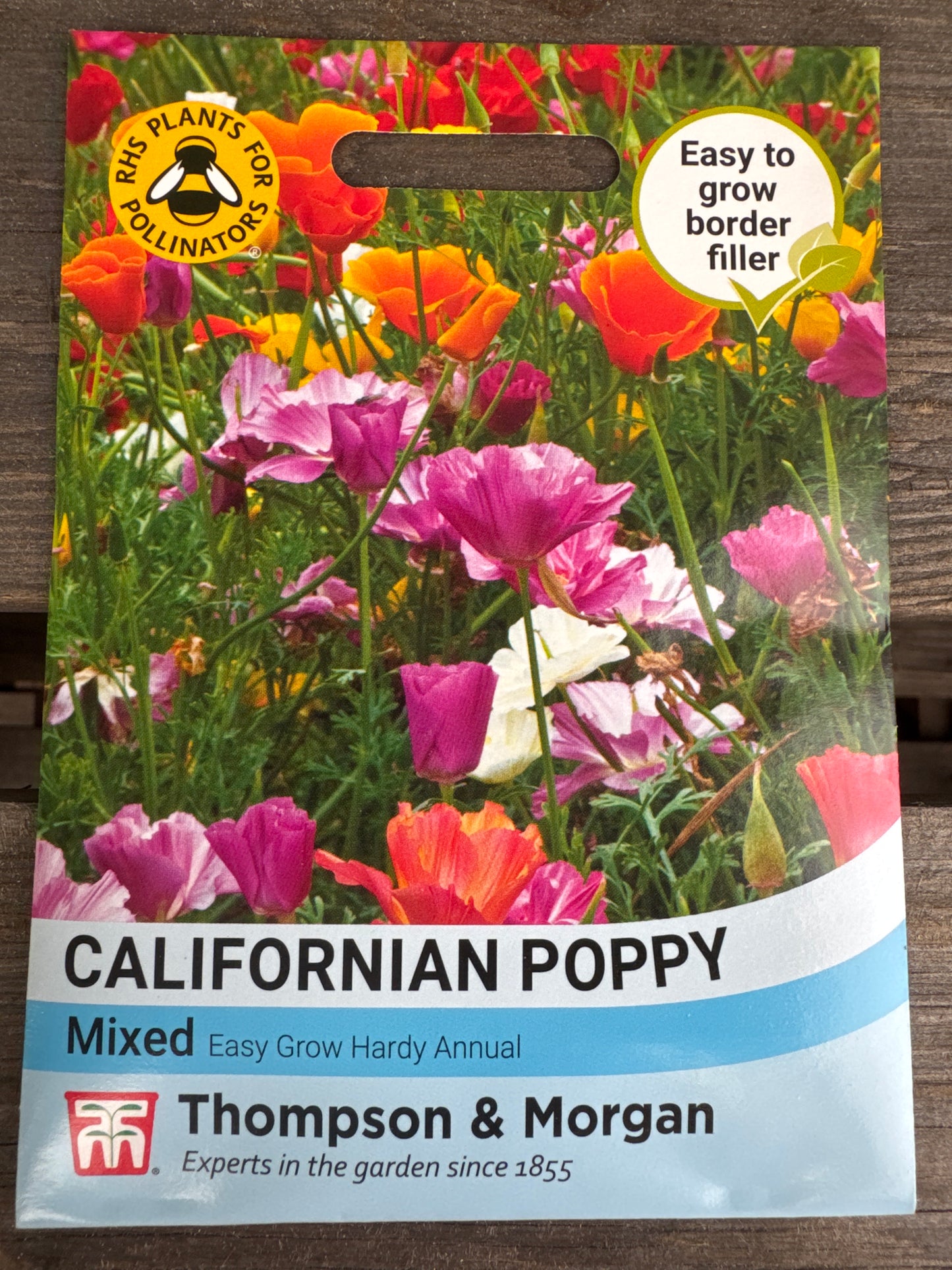 SEEDS - Californian Poppy Mixed