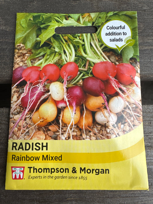 SEEDS - Radish Rainbow Mixed