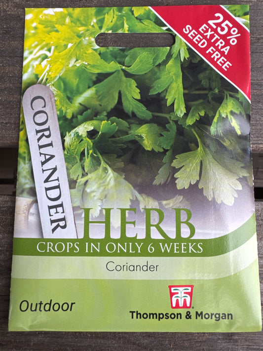 SEEDS - Herb Coriander