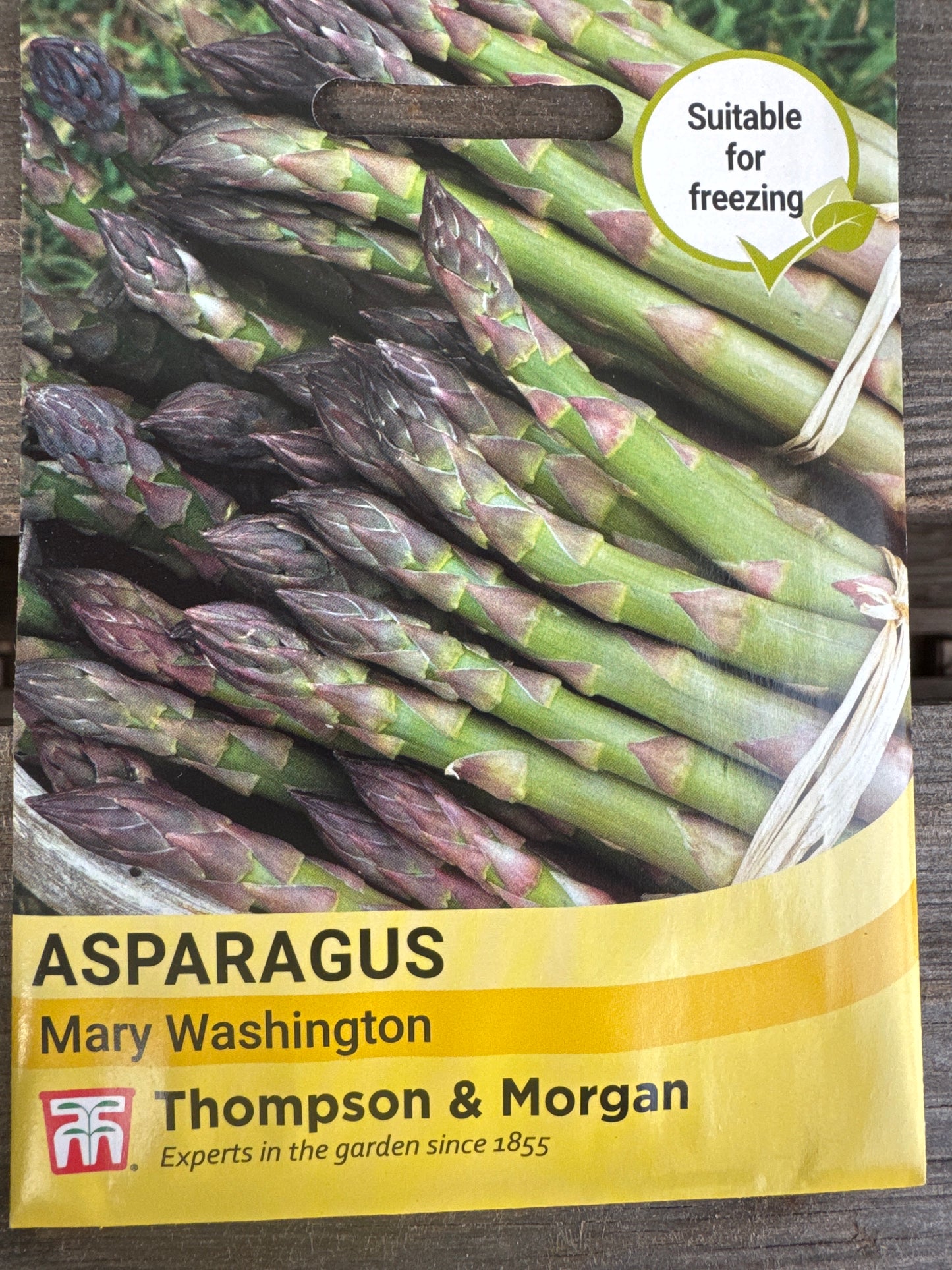 SEEDS - Asparagus Mary Washington