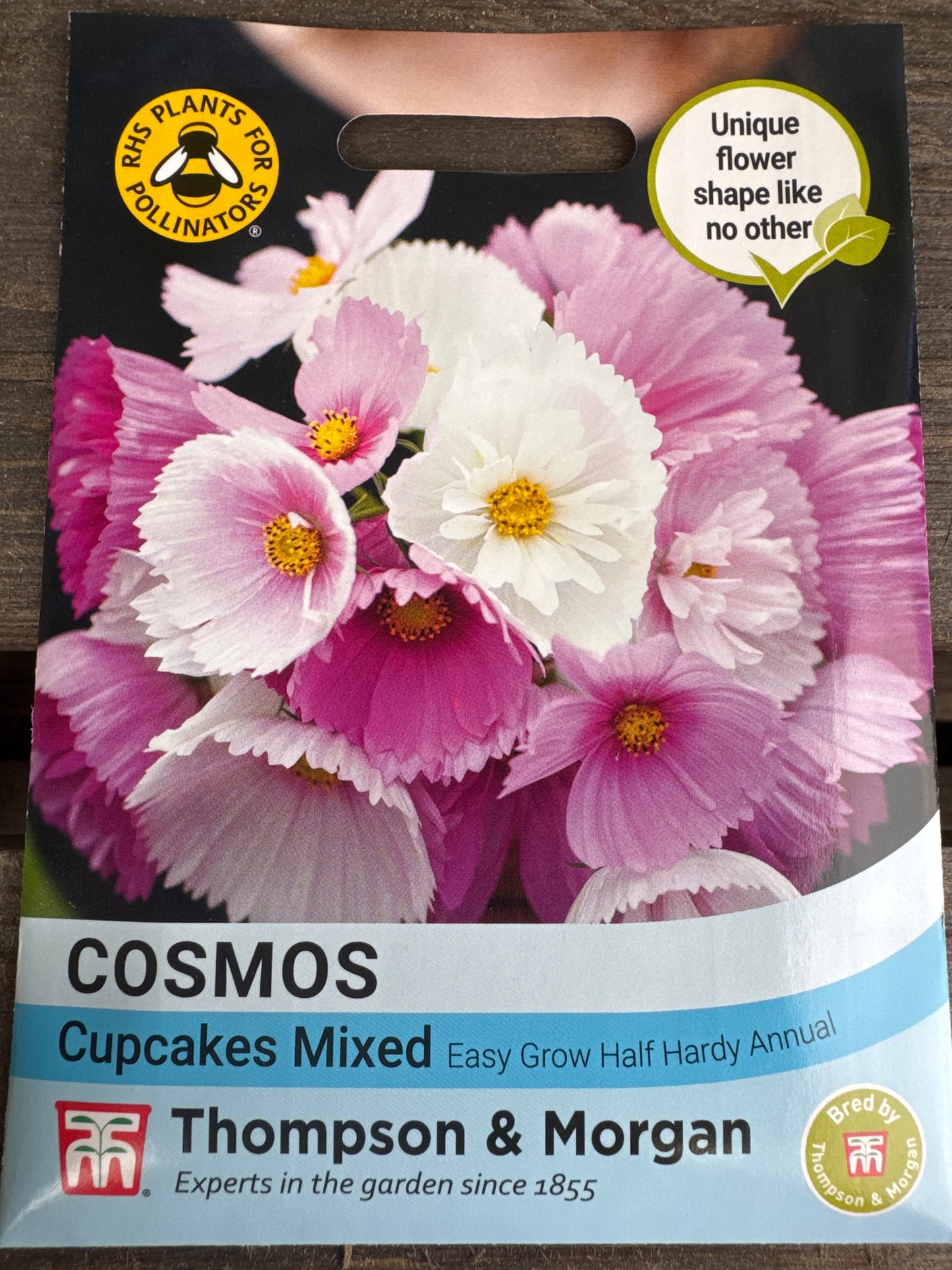 SEEDS - Cosmos Cupcakes - Mixed