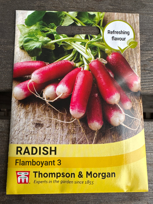 SEEDS - Radish Flamboyant 3