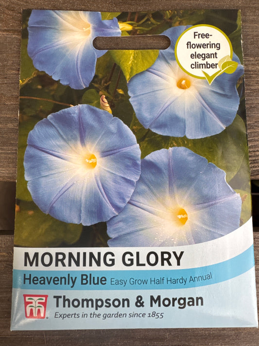 SEEDS - Morning Glory Heavenly Blue (Ipomoea)