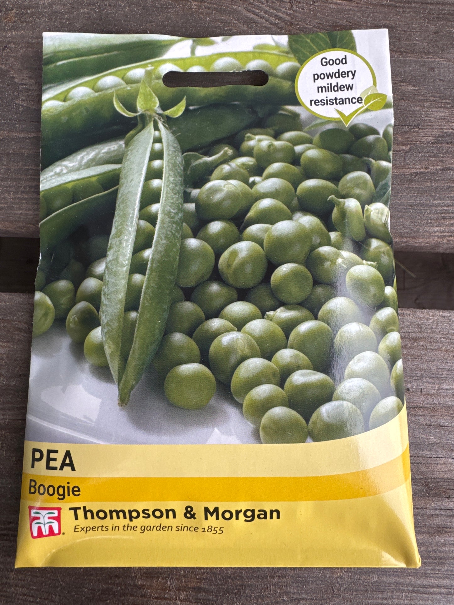 SEEDS - Pea Boogie
