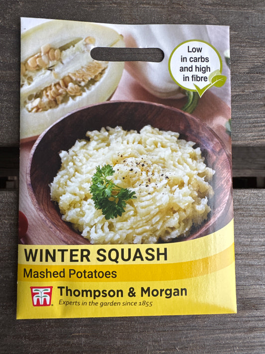 SEEDS - Squash Mashed Potato (Winter)