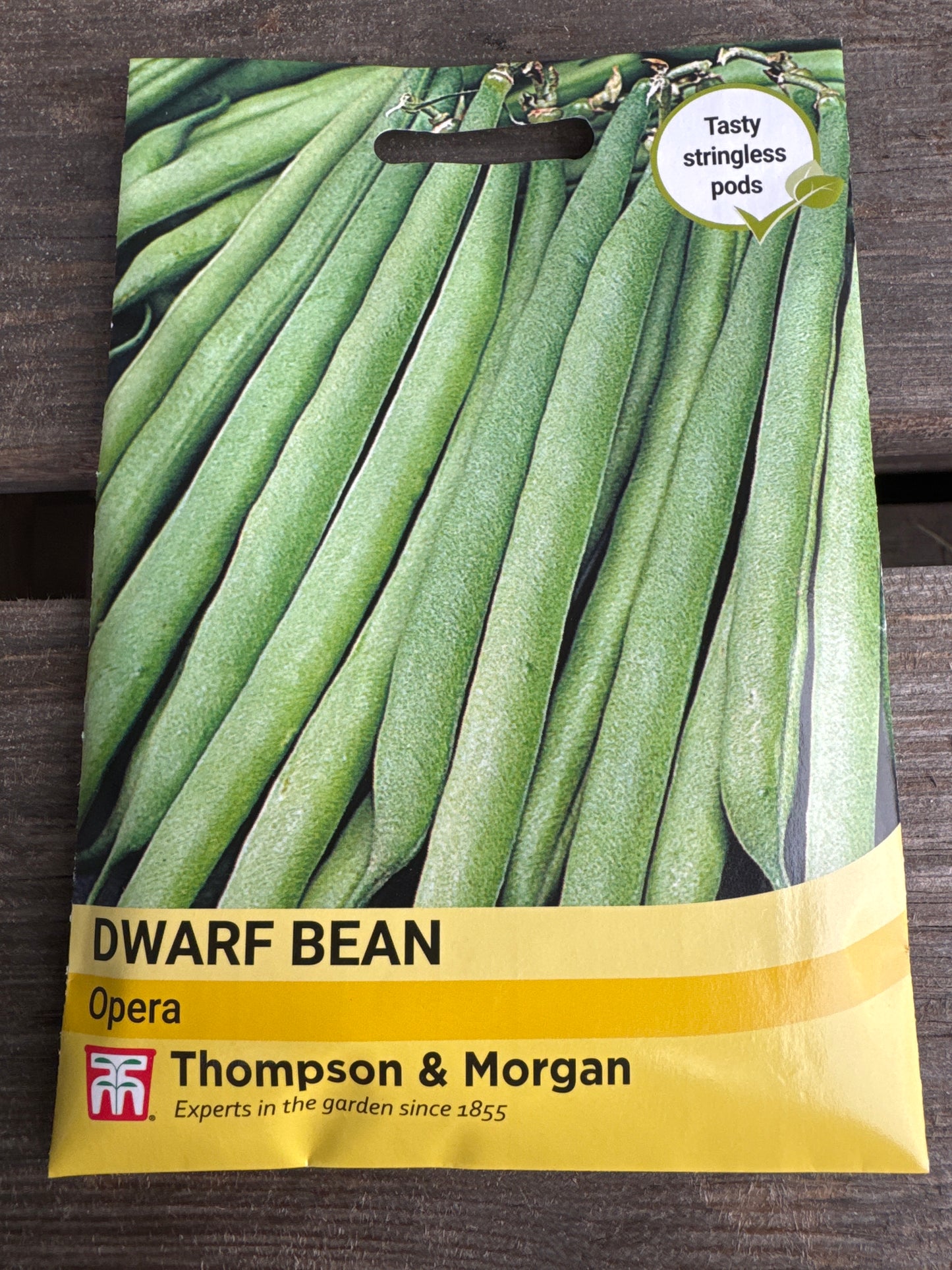 SEEDS - Dwarf Bean Opera