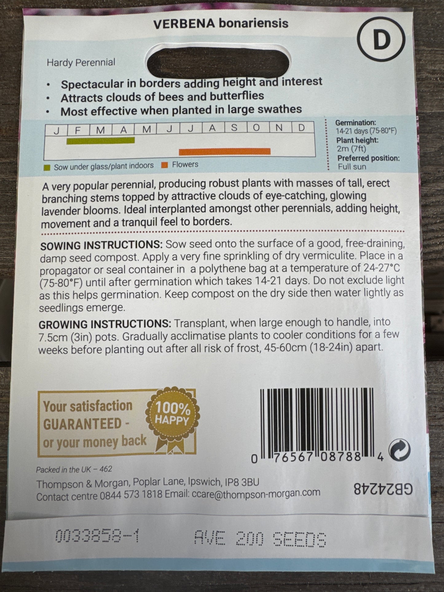 SEEDS - Verbena bonariensis